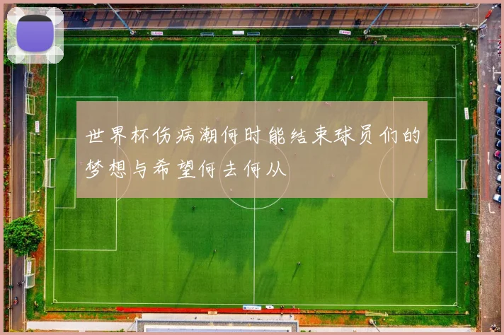 世界杯伤病潮何时能结束球员们的梦想与希望何去何从