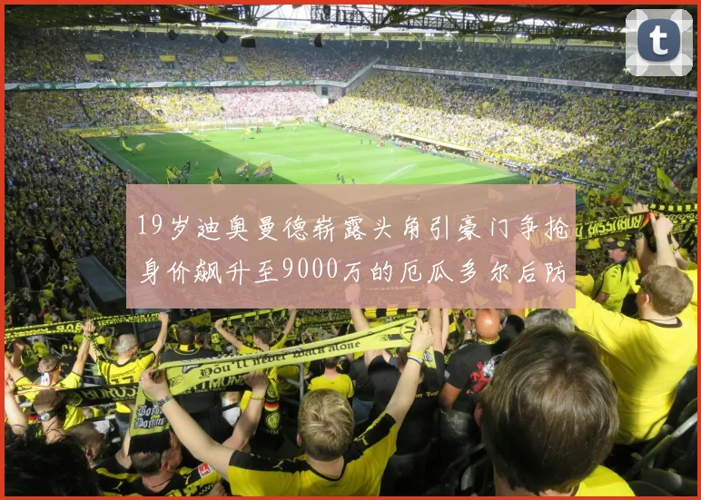 19岁迪奥曼德崭露头角引豪门争抢身价飙升至9000万的厄瓜多尔后防新星