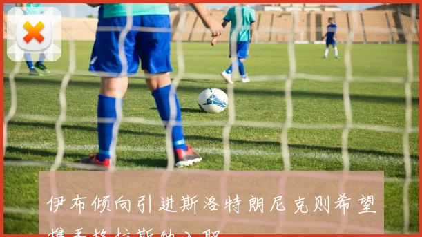 伊布倾向引进斯洛特朗尼克则希望携手格拉斯纳入职